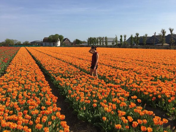 Carolyn Brogan in a tulip field, Netherlands